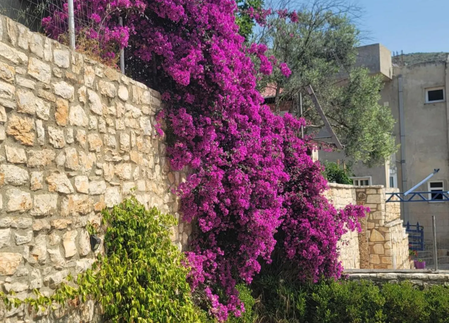 Viol Apartments Sarandë Albanien